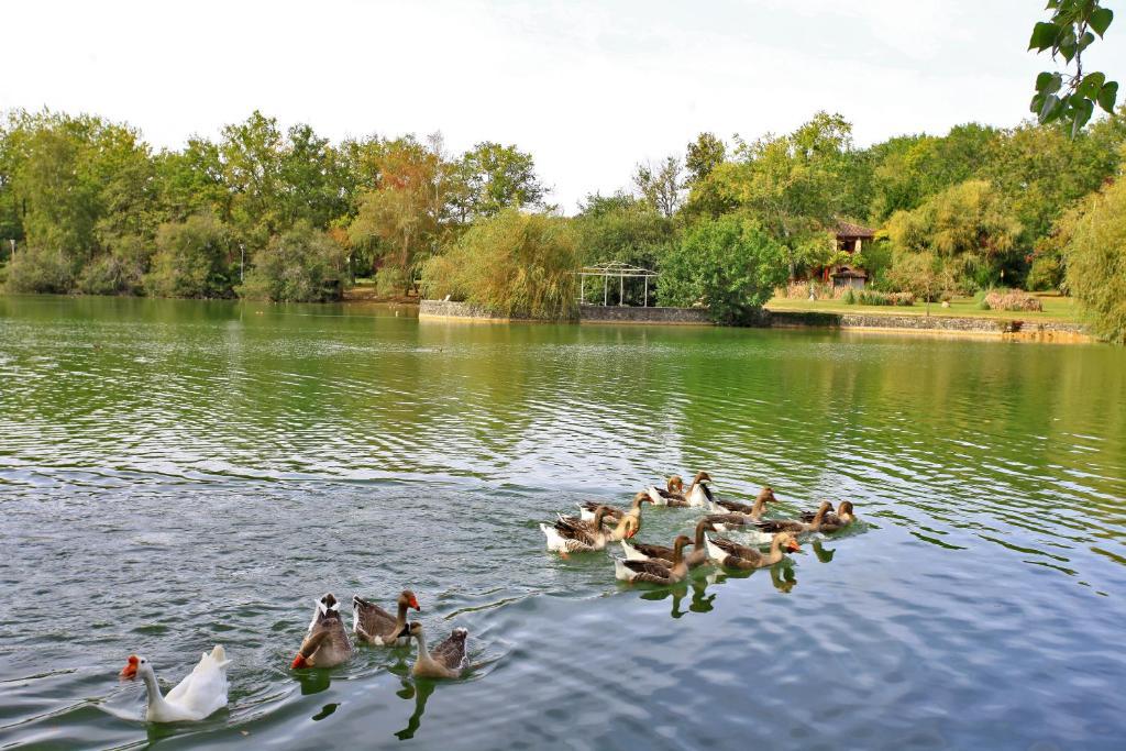 Vieux-Mareuil Auberge De L'Etang Bleu חדר תמונה